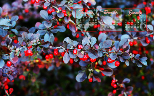 483020 (a): :2560x1600